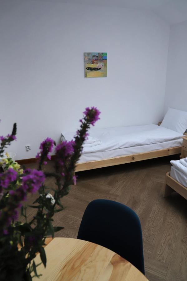 Artrooms Pokoje Goscinne 克罗斯诺 外观 照片